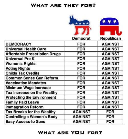 vote-democrat-president-congress:The majority of these issues could be dealt with if:   ALL people and ALL companies are forced pay their fare share of taxes.    No name calling, no threats, no lies etc. just clarity. This is the difference between what’s