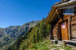 edelweisstrail: Alpine Cabin above Adelboden, Switzerland 