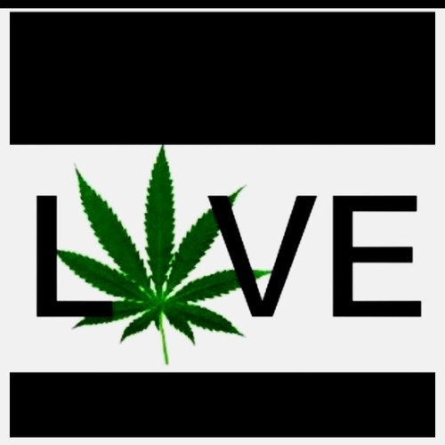 toweliesfunkytown:  Follow us if you smoke!