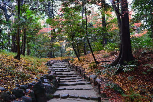 小石川後楽園 (Koishikawakorakuen, Bunkyo-ku, Tokyo)