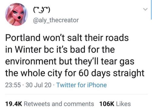 lesbiancrybaby: [ID: a tweet by @ aly_thecreator that reads “portland won’t salt their r