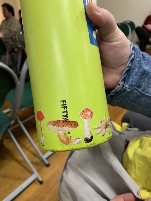 fungusqueen:My mushroom stickers spotted in the wild (on my friend’s water bottle). Loving the