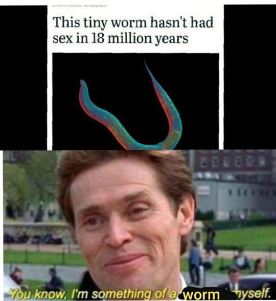 Im something of a worm myself