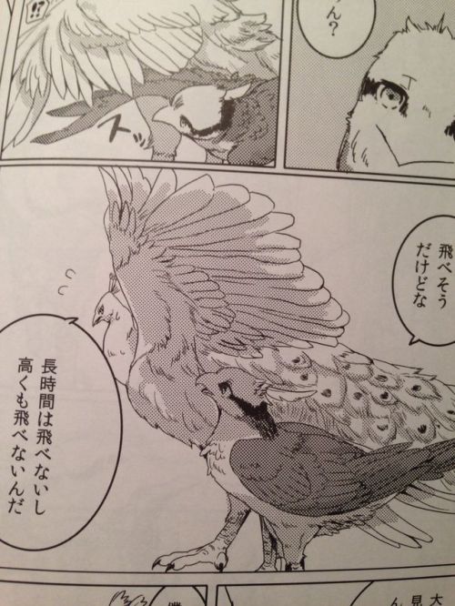 midnitewolfy:  king-in-yellow:  Ever wanted to see a secretary bird make out with a lammergeier? Nah, me neither.  REMEMBER THE BIRD BL DOUJINSHI? Here are a couple of sample images from both FORBIDDEN BIRD BOY LOVE ~Eden~ and FORBIDDEN BIRD BOY LOVE