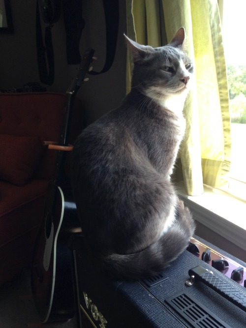 J on the Vox AC30, with 60&rsquo;s Silvertone acoustic.