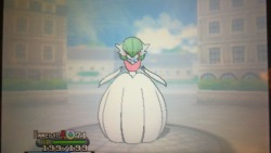 gallade-x-treme:  guys i think gardevoirite is secretly a wedding bouquet