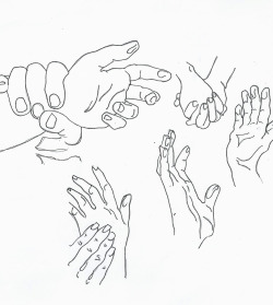 sofiadimartino:  did a quick lil hand study