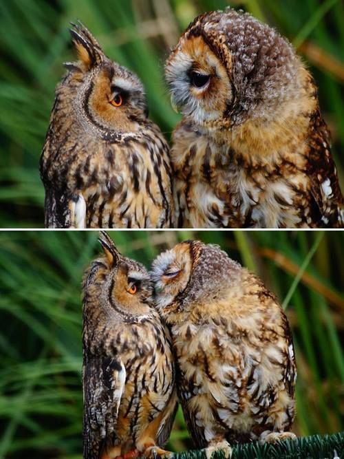 “Mornin’, sweetie …” “Ew, morning breath!”