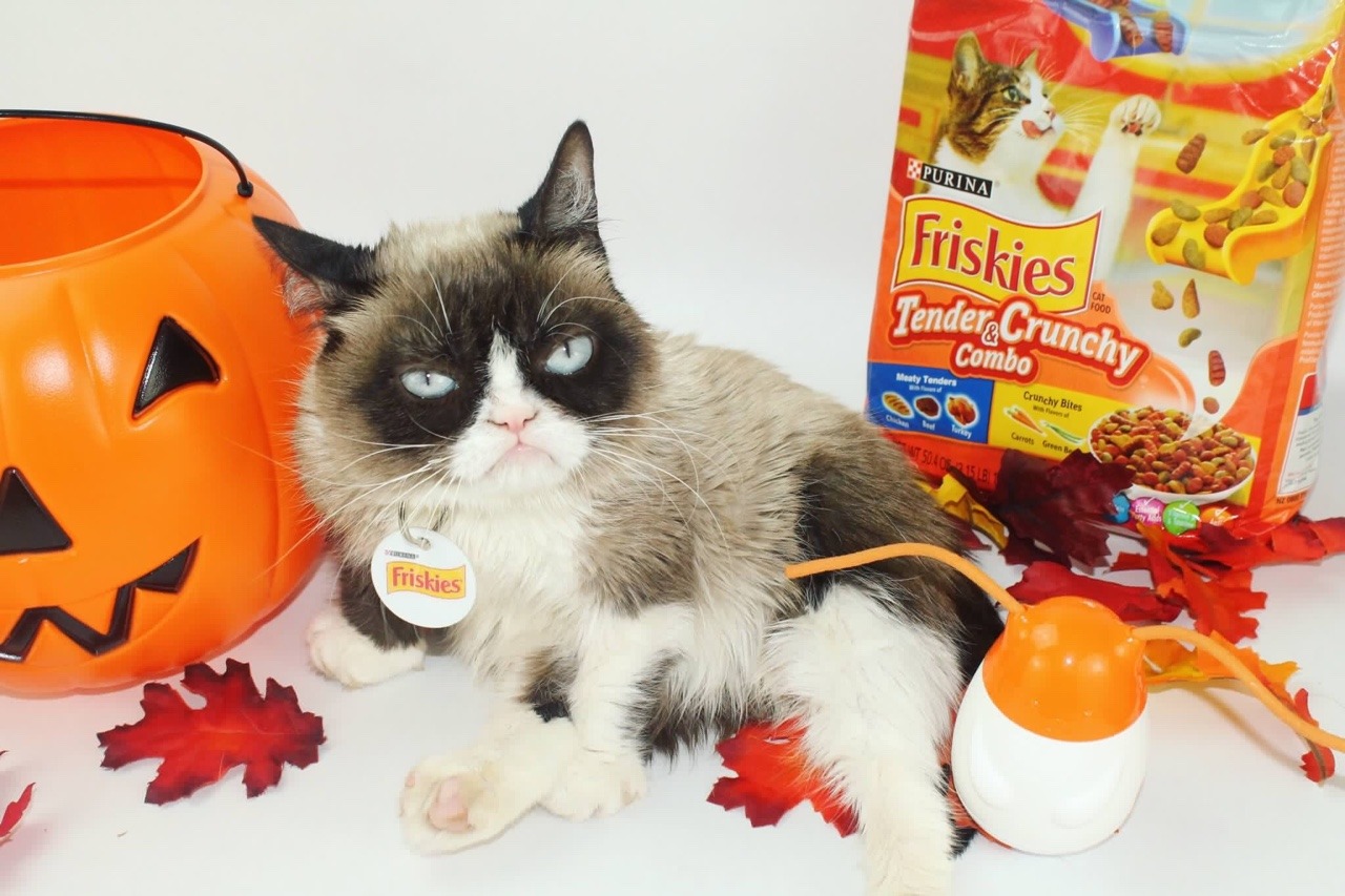 Halloween sounds terrible. If I’m going to trick-or-treat, I better get the limited edition Wobbert from @friskies Pull ‘n Play....