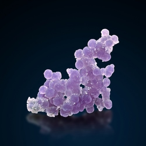 vugnasmineralblog:  Chalcedony  Mamuju Area, Sulawesi Barat Province, Sulawesi Island, Indonesia