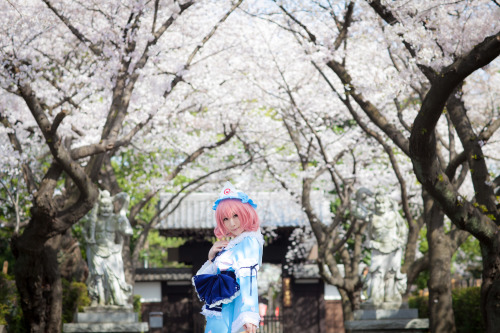 Touhou Project - Yuyuko Saigyouji (Mysuite) 11HELP US GROW Like,Comment & Share.CosplayJapaneseGirls1.5 - www.facebook.com/CosplayJapaneseGirls1.5CosplayJapaneseGirls2 - www.facebook.com/CosplayJapaneseGirl2tumblr - http://cosplayjapanesegirlsblog.tum