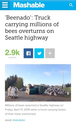 chongotheartist:  kyleehenke:  dreamychocolateprincess:  kyleehenke:  wafflesex:  A TRUCK OF BEES TURNED OVER IN MY STATE TODAY IM GONNA DIE   rest in bees  so it was an exciting day in my neighborhood  MY SHIPMENT TO KYLEE WAS THWARTED  its ok its the