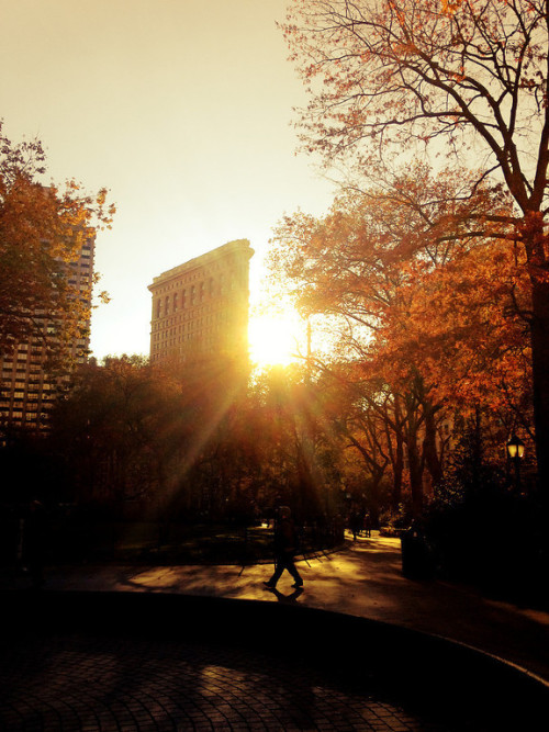 oldlittlegirl:New York City, Urban LandscapesVivienne Gucwa