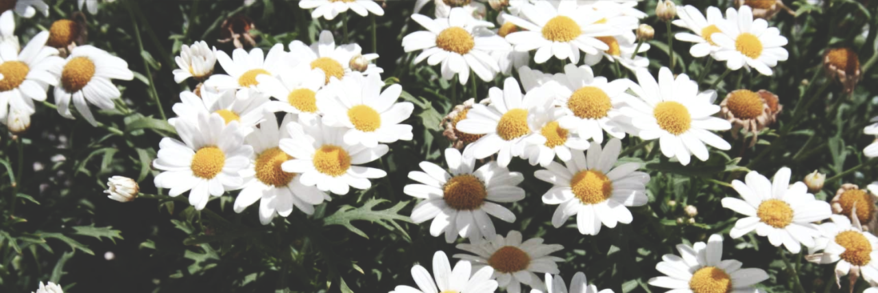 neon-graphics:  Random Headers Credits to @neon_graphics or @daffodildana if using