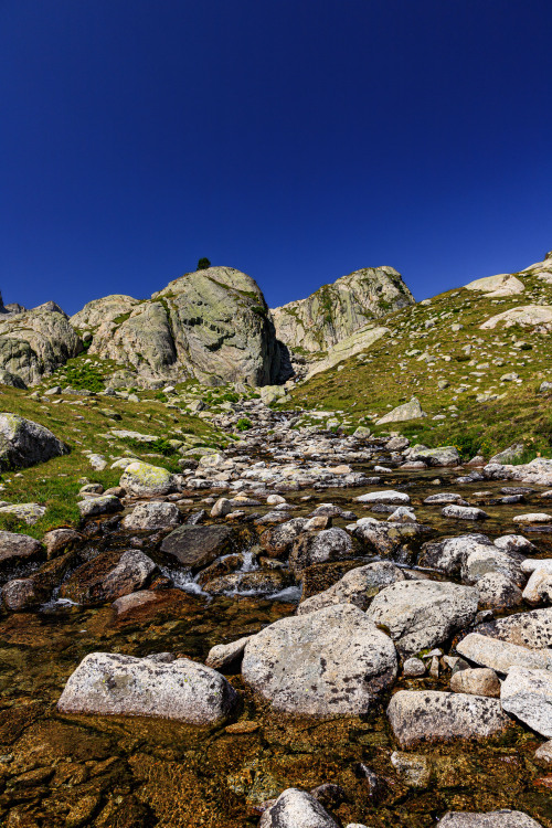 nature-hiking