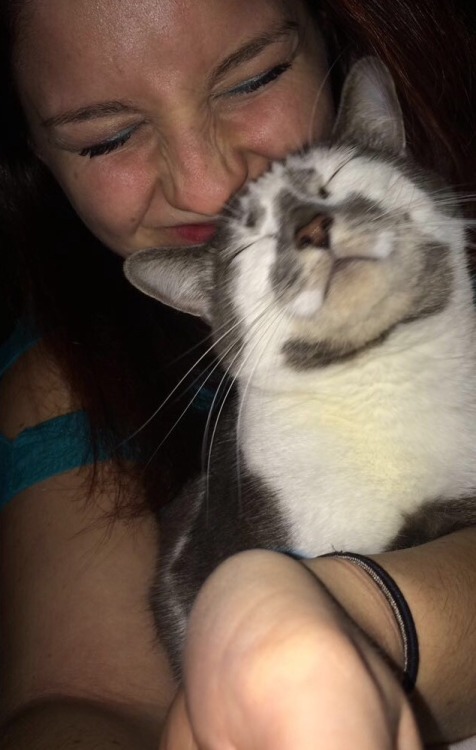 wildernesskellie:Happy national hug your cat day!