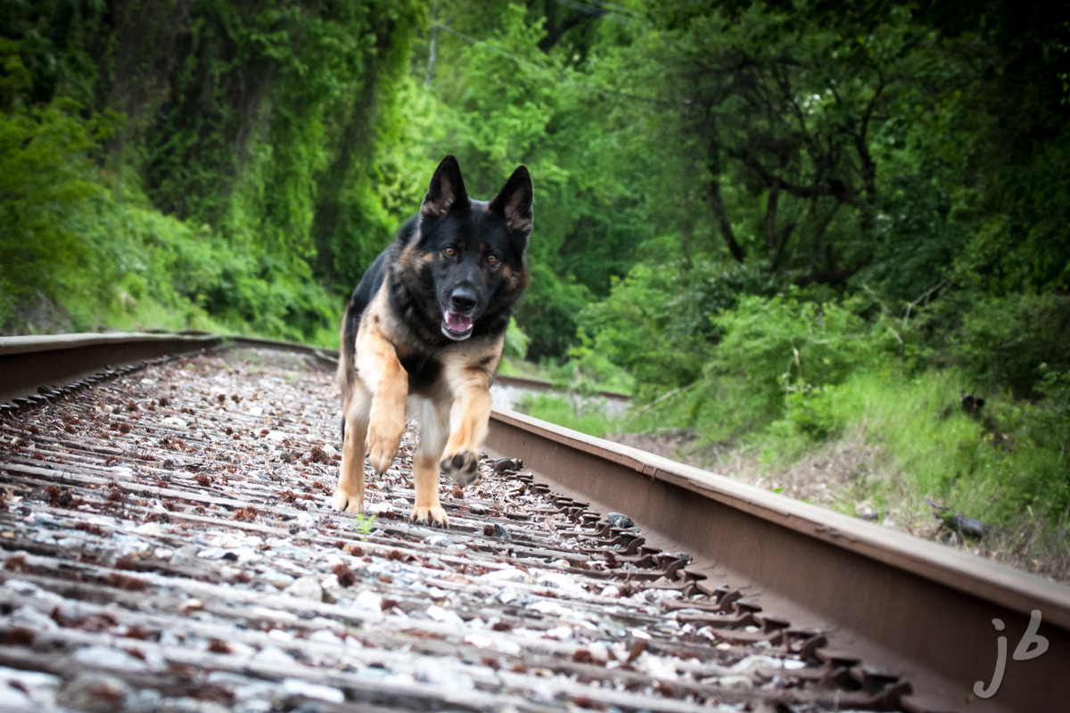 jb-fotoz:  &ldquo;Like a Locomotive&rdquo;