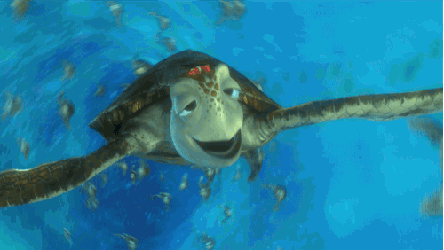 Disney — Totally rad. Happy World Turtle Day!