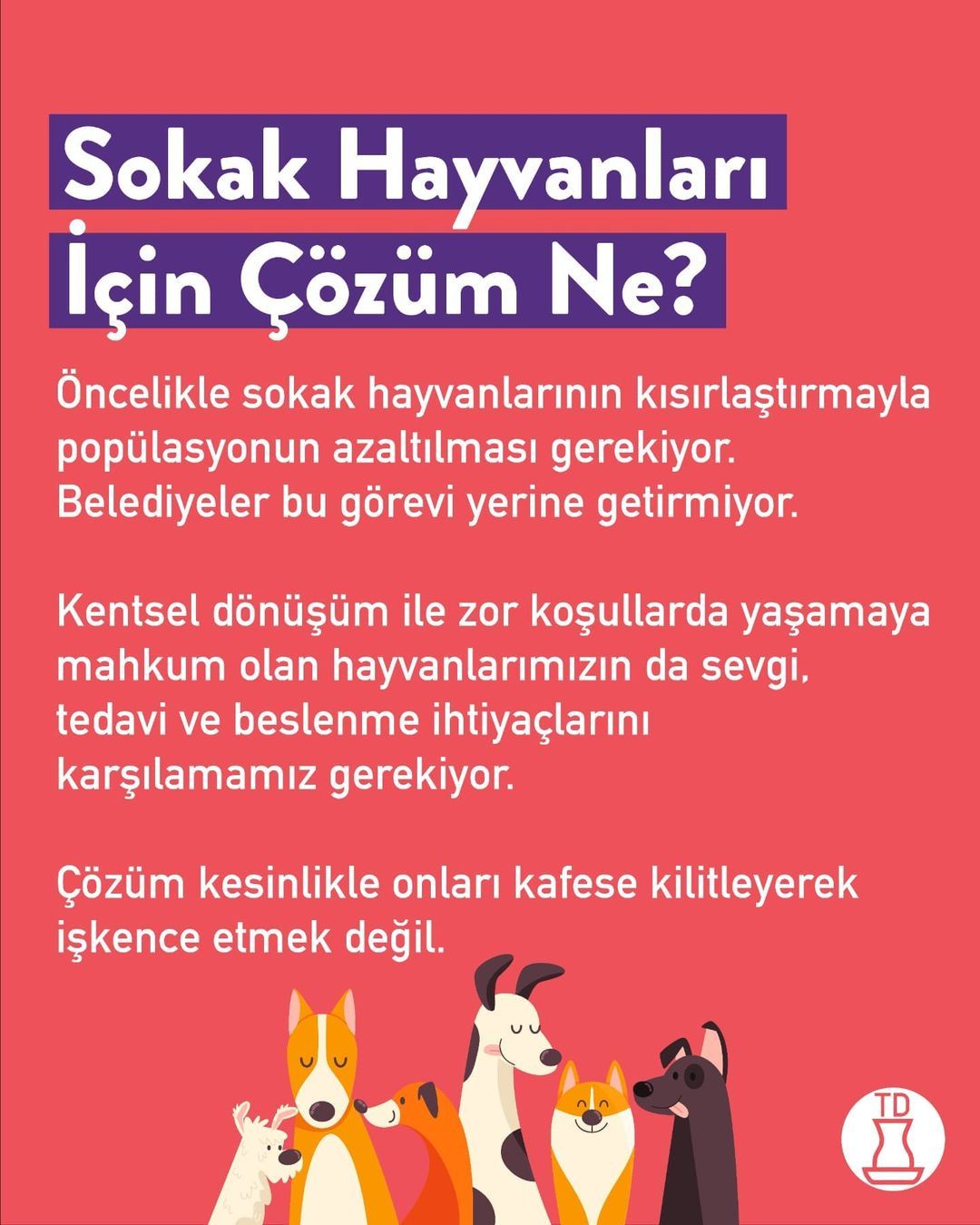 Sokak hayvanları sahipsiz...