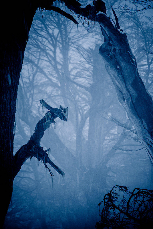 pela-schmidt:  Winter Blues, Challhuaco Valley, Patagonia, Argentina.©Pela SchmidtTumblr