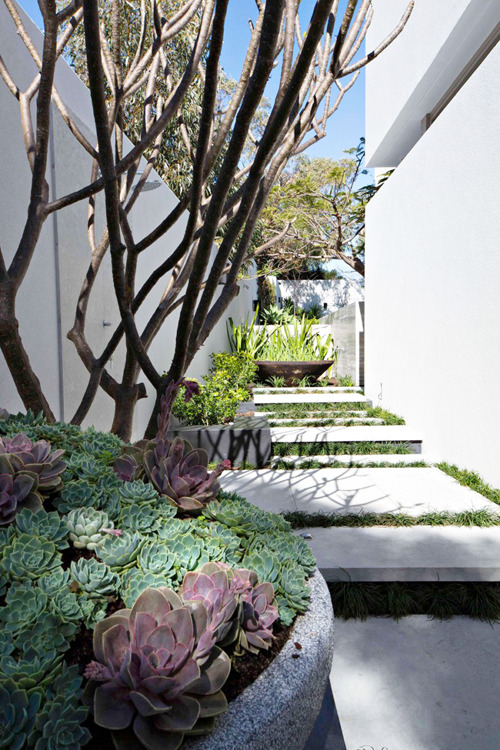 life1nmotion:  Branksome is a landscaping project completed by Tim Davies Landscaping.