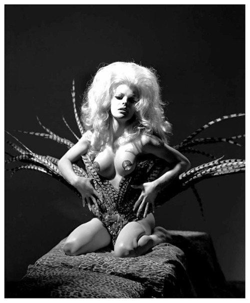burleskateer:  Sheena         aka. “The Fantastic Savage”..