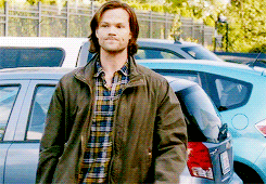 letangs:  SPN 10 countdown challenge | day 19 - episode 5 ↳ 9x05 - dog dean afternoon