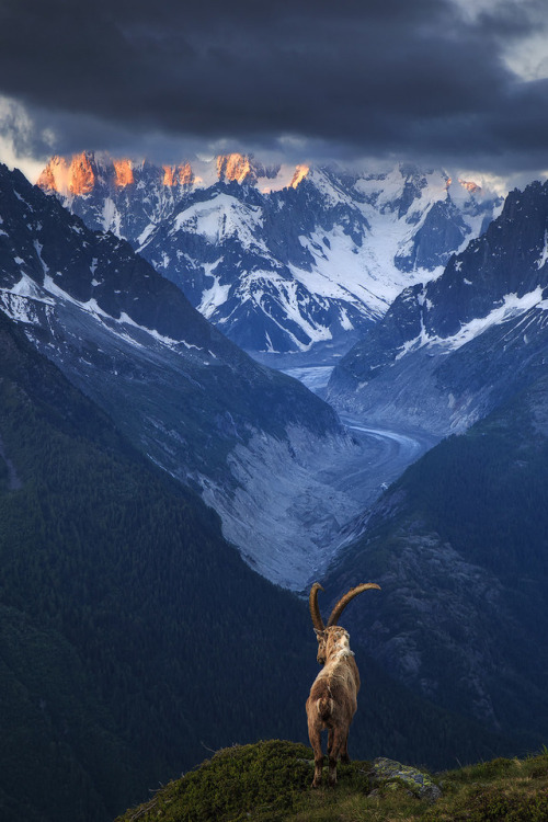 wanderthewood: Chamonix, Haute-Savoie, France by sven483