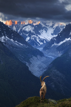 satakentia:  His KingdomChamonix, Haute-Savoie, France by Sven Broeckx 