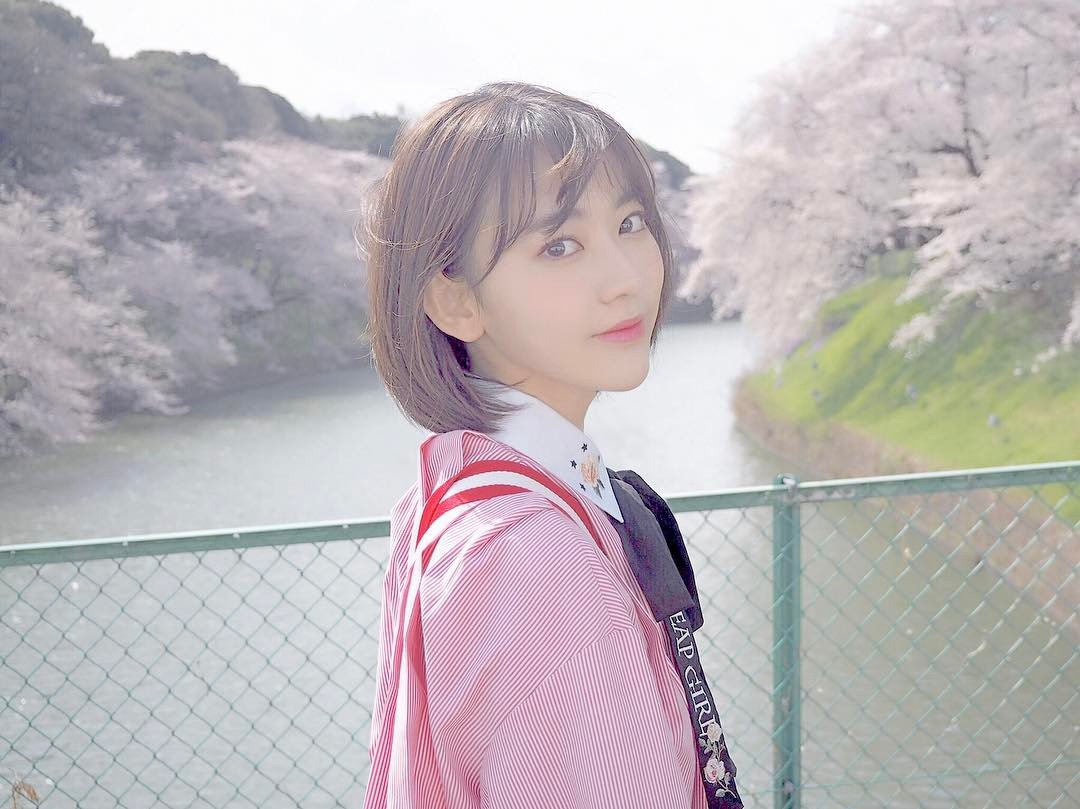 hunter934:  Miyawaki Sakura under Sakura Tree