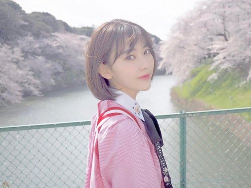 hunter934:  Miyawaki Sakura under Sakura Tree