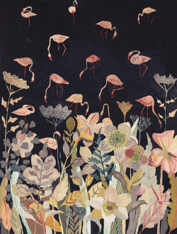 wormyorchids:  michelle morin 