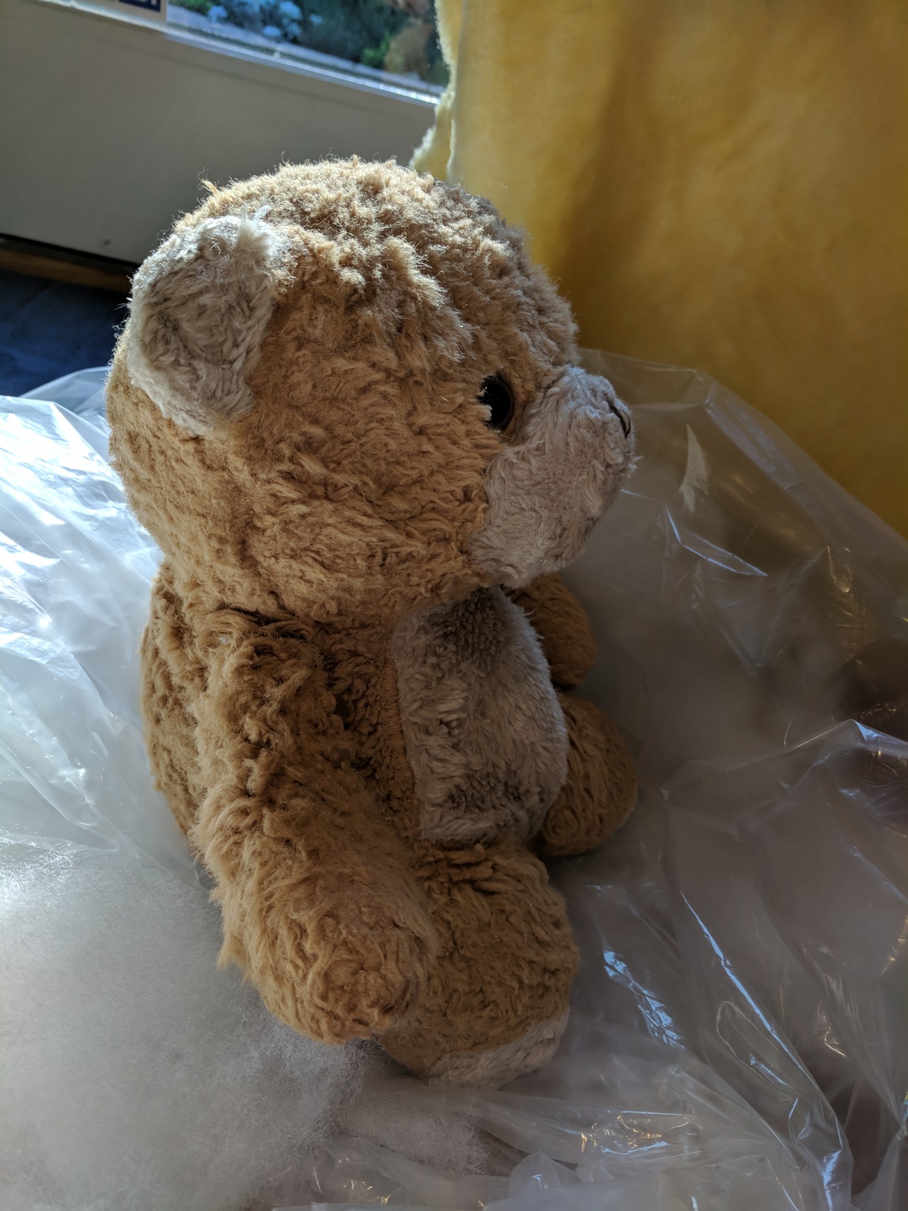 Teddy for Christmas