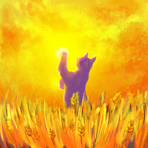 caturdaydrawings:Field of SunshineDaily Cat Drawing #107  I  Patreon 