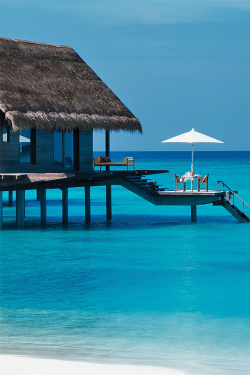 livingpursuit:  One & Only Reethi Rah,