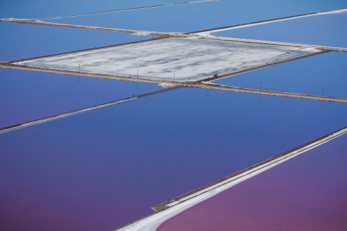 itscolossal: Purple Views of the San Francisco Bay Salt Ponds by Julieanne Kost