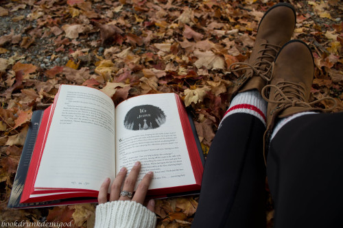 bookdrunkdemigod: “I’m so glad I live in a world where there are Octobers.”