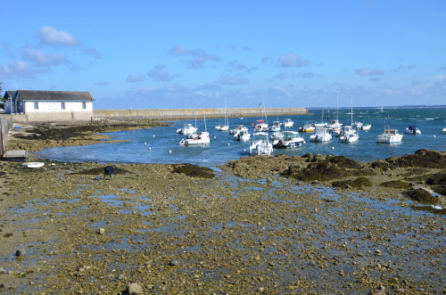 Places to go and things to eat around Guérande (Brittany) You might know Guérande (Pho