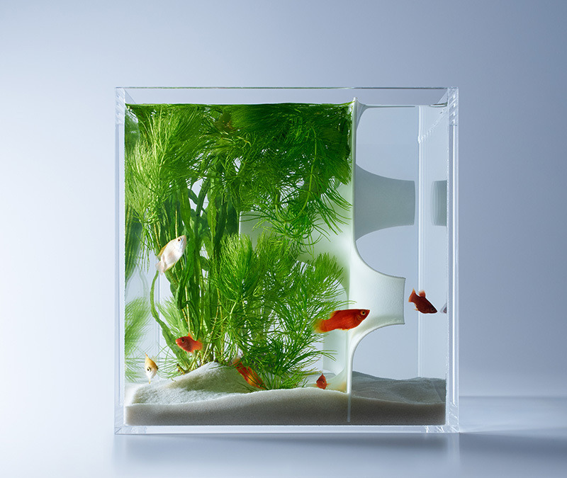 thre3f:  Sculptural Fish Tanks by Haruka Misawa 