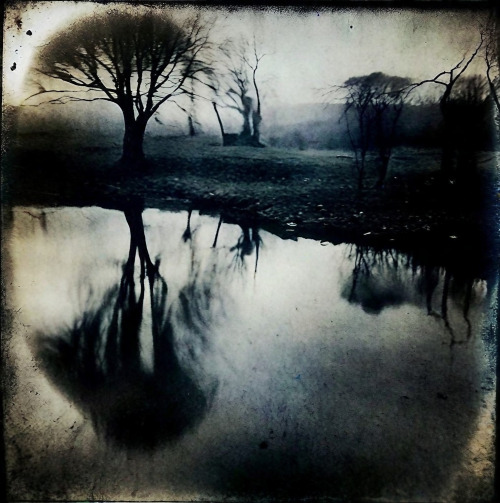 Lake 101123