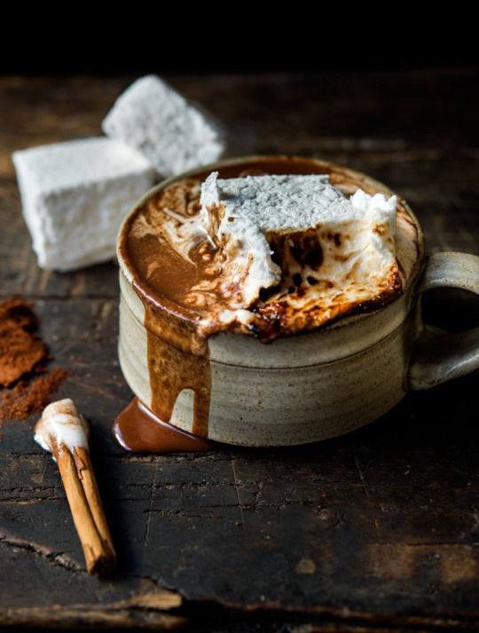 the-cozy-room:  perpetuallychristmas: entrancing-autumn:   Thick Dark Hot Chocolate