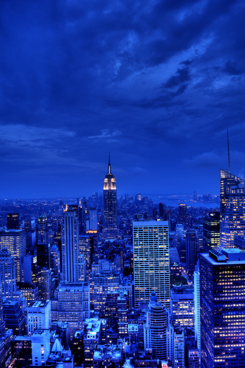 4nimalparty:  Manhattan (by AliJG) 