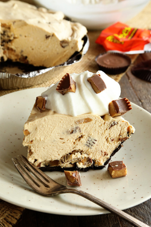 chronic-mastication-too:No-Bake Peanut Butter Cup Pie