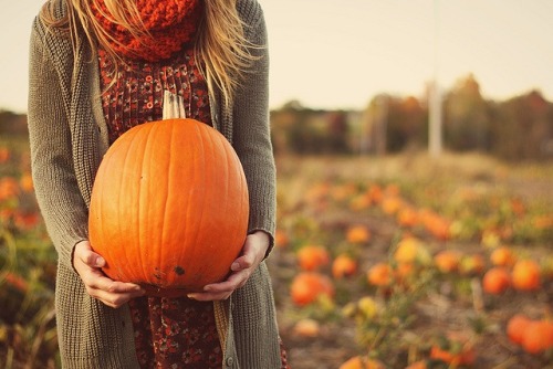 elegant-autumn: autumn blog all year round that follows back☾☯✿