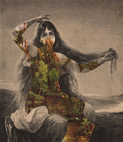 Silent Figures With Landscapes Burned Wings — Next To The World The Mermaid — Heavenward