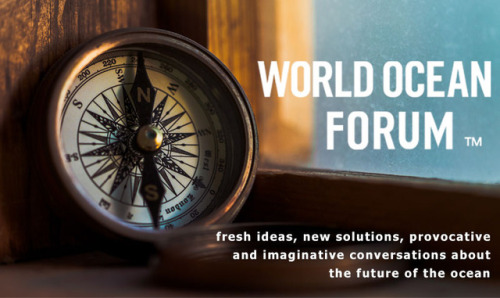 World Ocean Forum blog has a fresh new look And we&rsquo;ve got some great new content from some exe