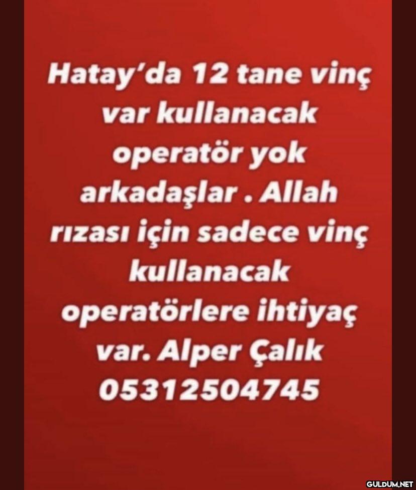 Hatay'da 12 tane vinç var...