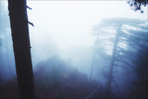 winterfellis:  P1010984 by pavel.yudov on Flickr.