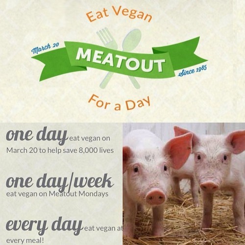 Thursday, March 20th is #Meatout day! Dedicate one day (or more) to healthy vegan eating and you can be part of a worldwide change. For the animals, for the planet, for your health. Take the pledge at: www.meatout.org/pledge