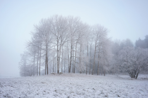 Frozen landscape.